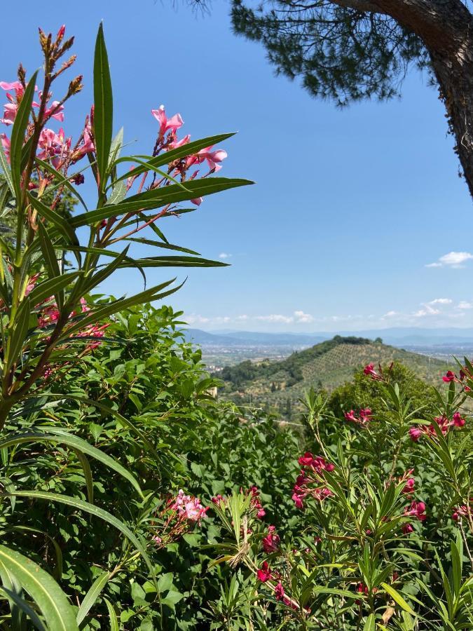 B&B La Rocca Carmignano Eksteriør billede
