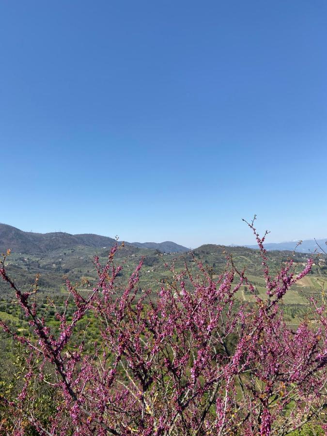 B&B La Rocca Carmignano Eksteriør billede