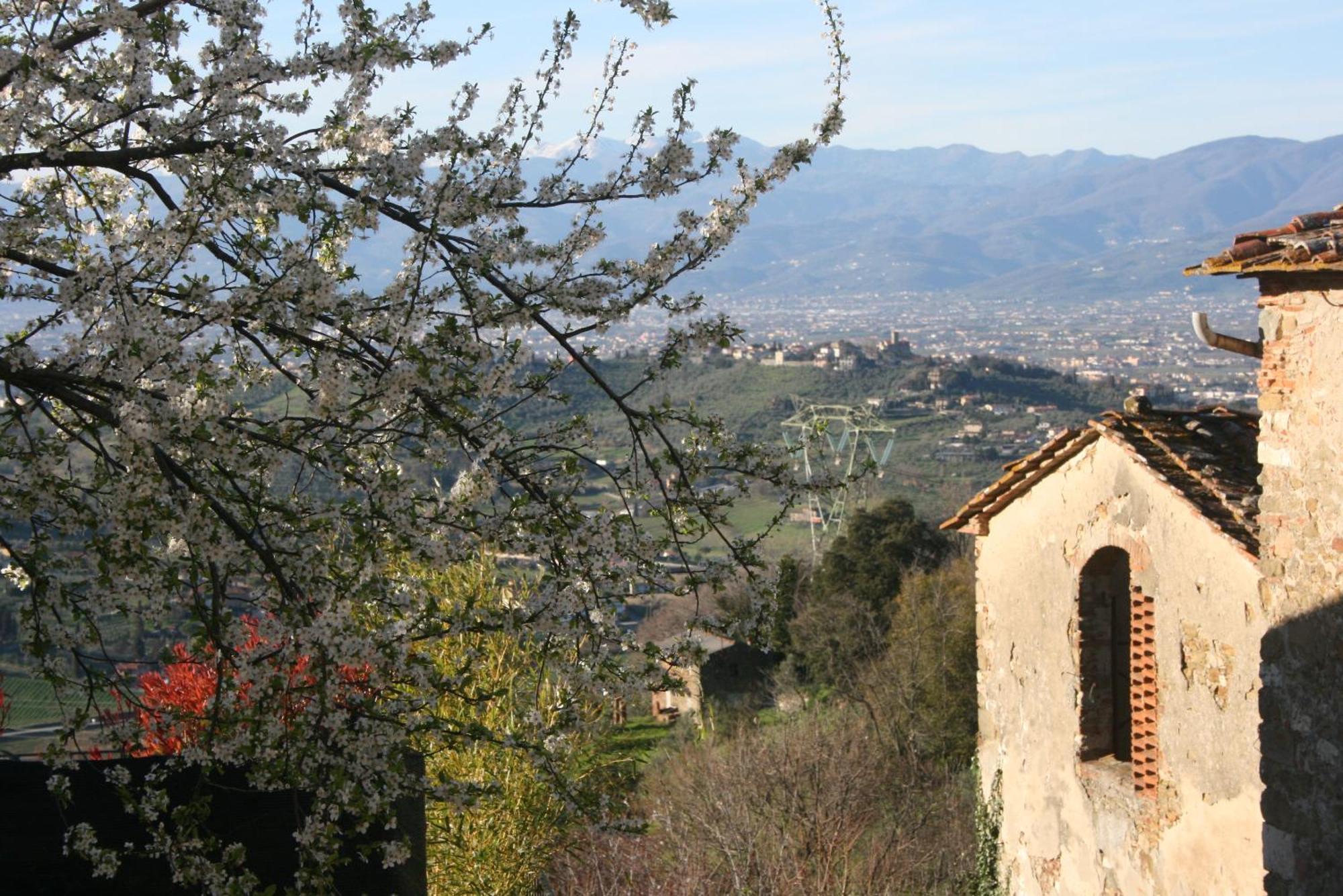 B&B La Rocca Carmignano Eksteriør billede